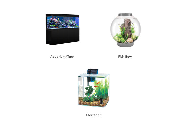 Small store aquarium size